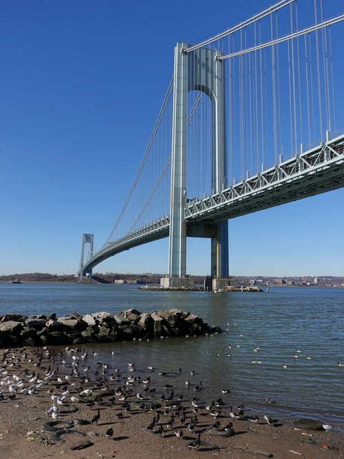NYC_2024-02-05 10-23-52_RX_07402